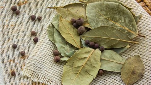 ¿Por qué hay que poner una hoja de laurel bajo la almohada antes de dormir?