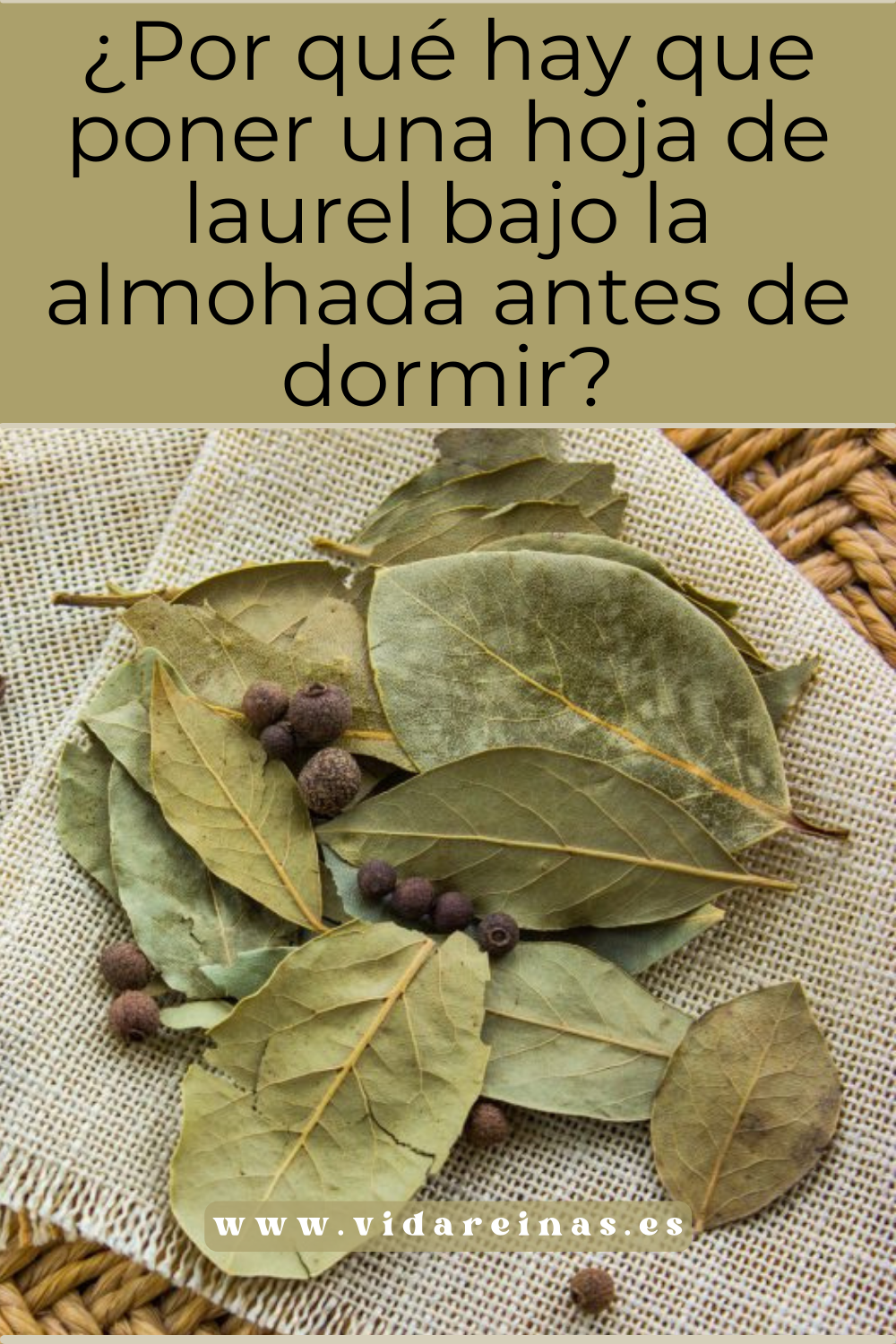 ¿Por qué hay que poner una hoja de laurel bajo la almohada antes de