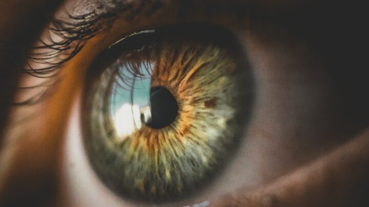 Color de ojos: origen y rareza de los ojos azules, verdes, avellana, etc.